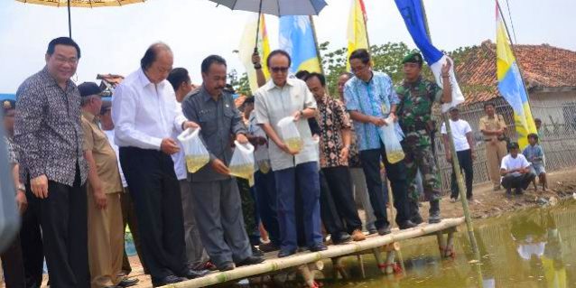 Penebaran benih Ikan Bantuan Tahir Foundation